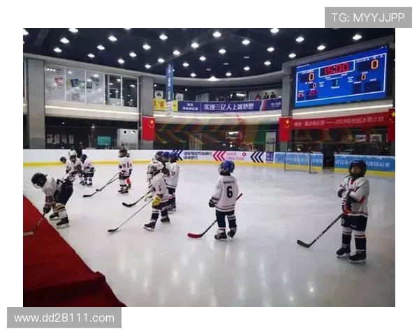 冰上曲棍球直播:热血对决,冰上激情即刻点燃